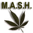 A picture named mash.gif