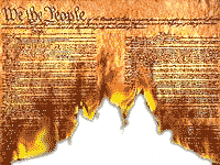 A picture named ConstitutionBurning.gif