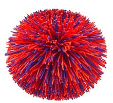 A picture named koosh.jpg